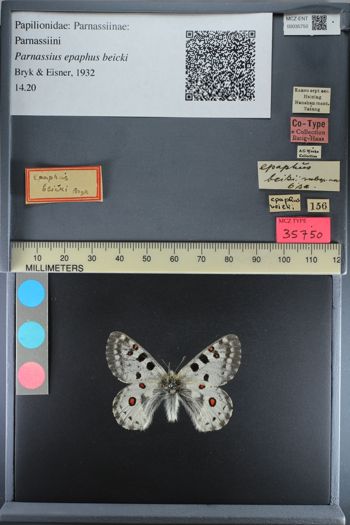 Media type: image;   Entomology 35750